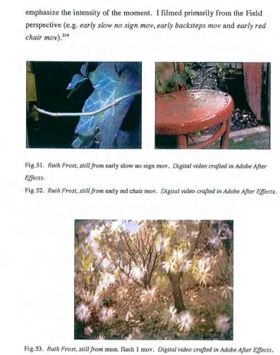 Fig.S I. Rwh f rost, still from early slow no sign mov. Digital video crafted 111 Adobe After 
