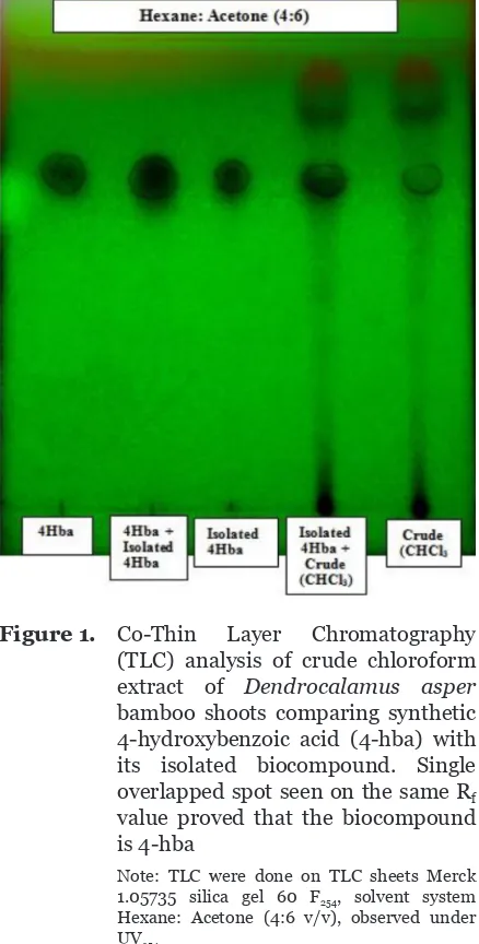 Figure 1. Co-Thin 