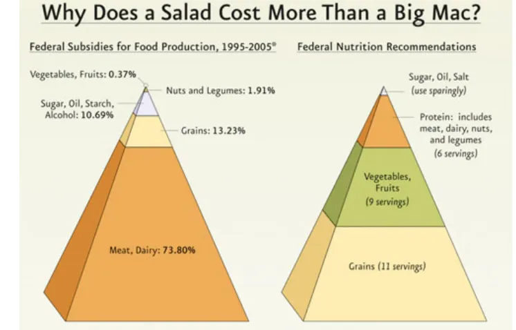 Figure 4: Comparison between food production subsidies and dietary recommendations in the US (Source: Physicians Committee for Responsible Medicine, 2007)