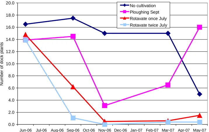 Figure 4. Effect of four cultivation treatments on number of dock plants per 13.6m long plotdiagonal transect.