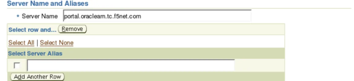 Figure 1.8  Adding the BIG-IP virtual server DNS name