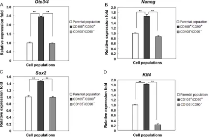 Figure 4. Quantitative real time PCR analysis of stemness genes, Oct3/4, Nanog, Sox2 and Klf4, in the three popu-lations