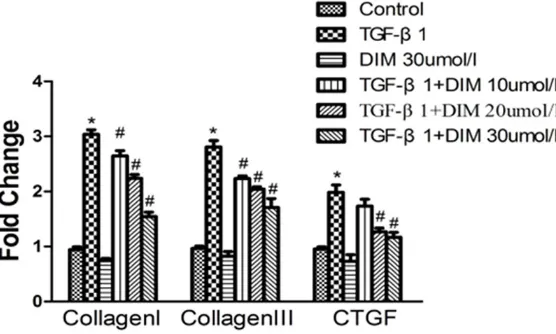 Figure 3. DIM blunts pro-fibrotic mRNA levels of Collagen I, Collagen III and CTGF in neoatal rat cardiac fibroblasts induced by TGF-β1