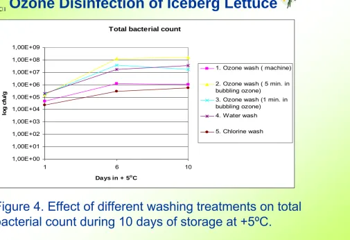 Figure 4. Effect of different washing treatments on total bacterial count during 10 days of storage at +5ºC.