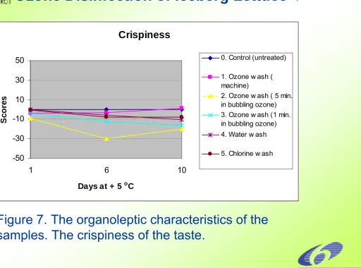 Figure 7. The organoleptic characteristics of the samples. The crispiness of the taste.