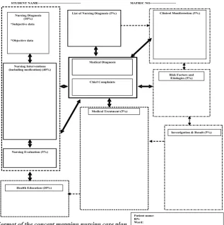 Figure 1: Format of the nursing care plan (nursing process)