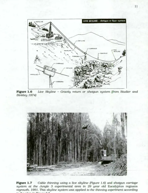 Figure 1.6 Binkley 197 