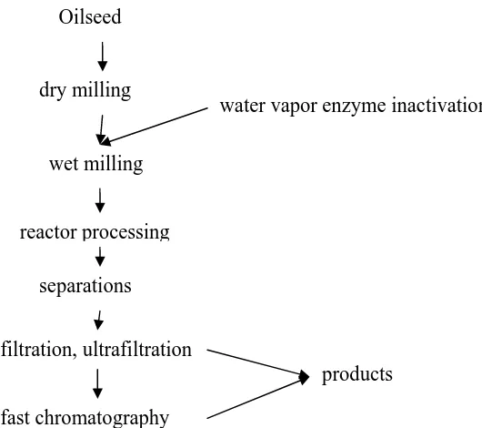 Figure 2. Flow diagram illustrating techniques used in Biorefining of cruciferous oilseeds