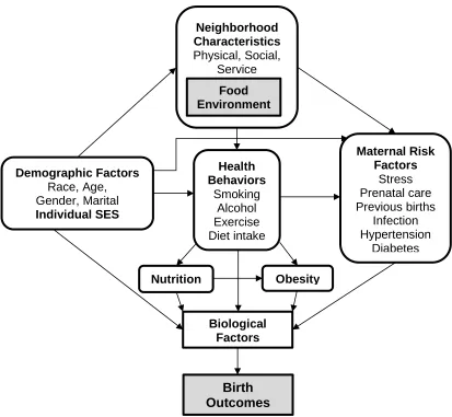 Figure 1.2 Conceptual framework of food environment and birth outcomes  