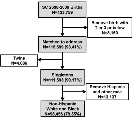 Figure 3.2 Birth certificate data flow for birth in South Carolina   