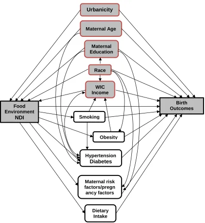 Figure 3.5 Directed Acyclic Graph in the study  