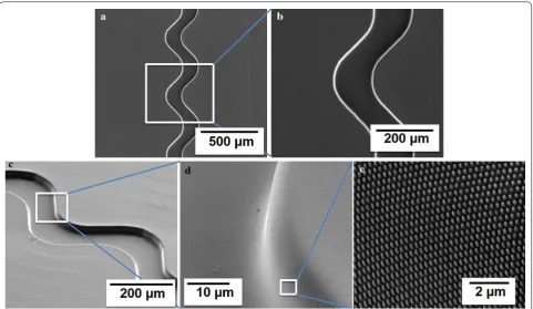 Fig. 3 SEM micrographs of a 3D nanomolded sinusoidal microfluidic device in PMMA. a and b are top view images with different magnifications and c, d, and e correspond to images with a tilted angle with different magnifications