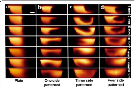 Fig. 6 Confocal microscope images for cross-sections of channel was 40 μL/min. The a plain microchannel and 3D microchannels with b one side patterned (top side), c three sides patterned (bottom and side walls), and d four sides patterned (top, bottom and 