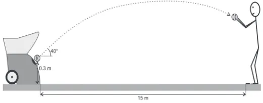 Figure 1. The schematic presentation of catching task.