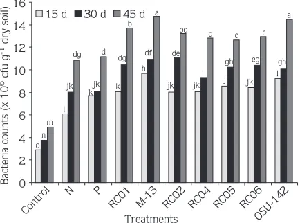Figure 2. The effects of PGPR and time on the proliferation of bacteriain soil. Different lowercase letters indicate significantdifferences (P < 0.01).