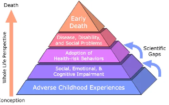 Figure 6.1 ACE Pyramid 