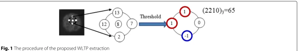 Fig. 2 The four equivalent WLTP pairs