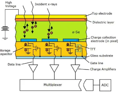Figure 1.1. Schematic diagram of read-out in a-Se based FPXIs.   