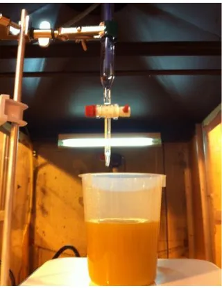 Figure 4.3 – Titration with NaOH 