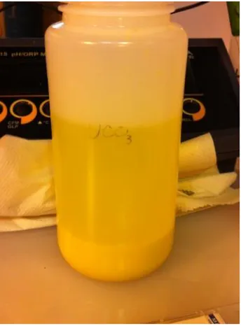 Figure 4.14 – SDU Filter Cake in Beaker, Sodium Carbonate/Bicarbonate mixture (pH=10), Slurry of SDU and 300 mL of 10% Na2CO3 solution  