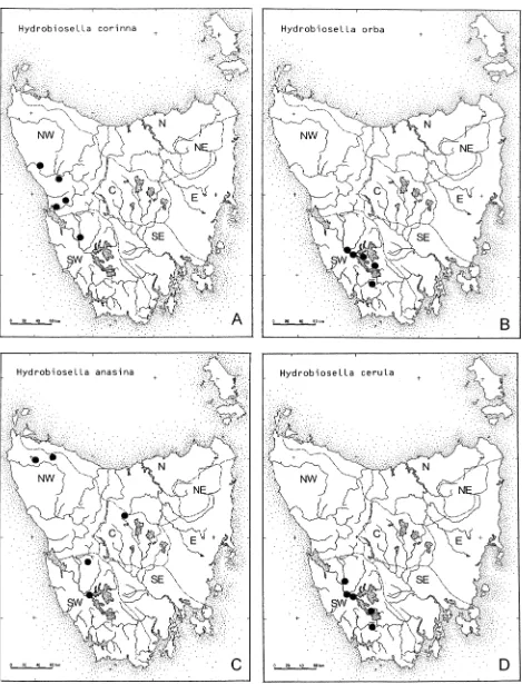 FIG. 9 -Distribution maps for Hydrobiosella spp.: 0) H. corinna; (B) H. orba; (C) H. anasina; (D) H