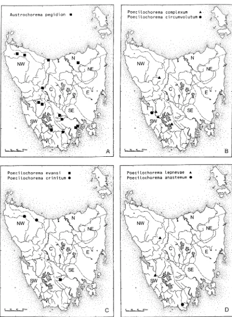 FIG. 4 -P. evansi Distribution maps: (A) Austrochorema pegidion; (B) Poecilochorema complexum and P