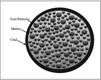 Figure 1.1: Cross section of a dispersion fuel.  Fuel particles constitute  the fissile phase and are embedded in a nonfissionable matrix material