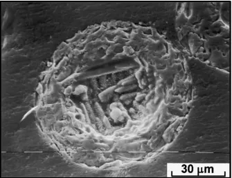 Fig. 10. Particle with nucleus of diﬀerent composition than the