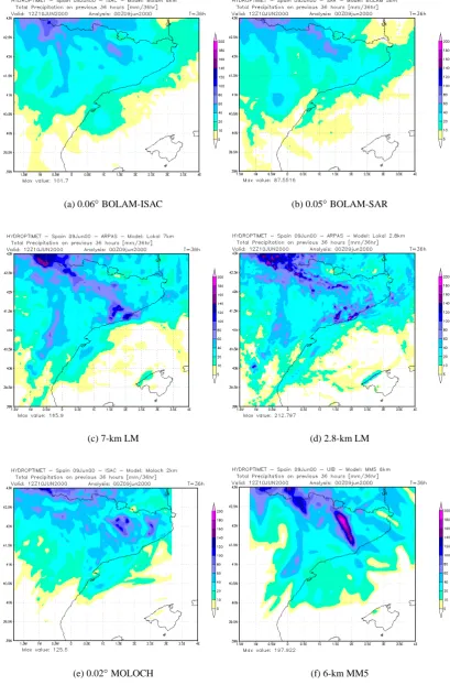 Fig. 5. Precipitation forecast by the selected LAMs over their own native grids. Rainfall was accumulated from 00:00 UTC, 9 June to12:00 UTC, 10 June 2000.