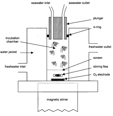 Figure 5.1 Schematic view of the experimental apparatus used to measure the oxygen consumption of stage I Jasus edwardsii larvae subjected to declining DO at different temperatures