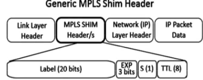 Figure 1: MPLS Shim Header