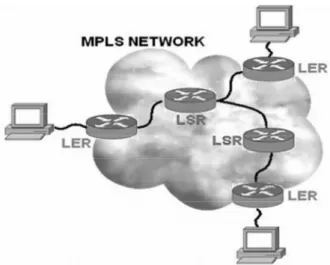 Figure 2: Nodes in MPLS Network