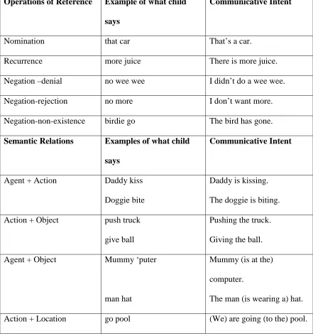 Table 2.1: Stage I Sentence Types (15 months-30 months) 