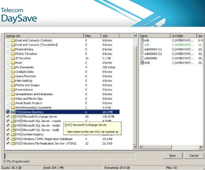 Figure 12: VSS Backup Sets 