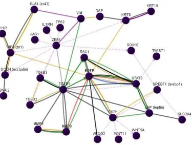 Figure 1.2 Pathway map showing the regulatory connections of sample genes from the EMT pathway