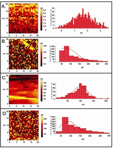 Figure 2.7 AFM characterizing two microcapsule samples; 4.5kV total voltage and 6.0kV total voltage, which were either UV crosslinked to glass coverslips prior to analysis at 9000μJ x100 or left untreated and analyzed