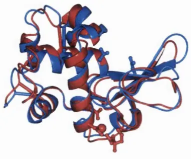 Figure 1.10: Superposition of lysozyme (PDB code ILYZ, blue, Diamond (1974)) and q- 