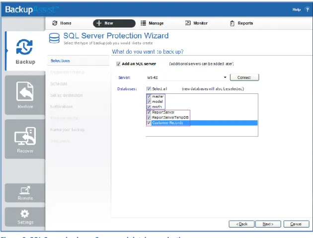 Figure 3: SQL Server backup - Server and database selection screen 