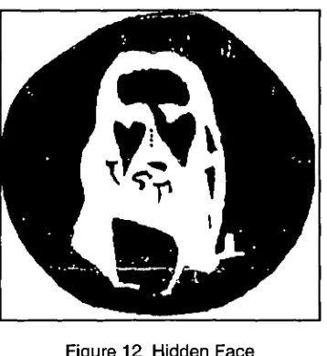 Figure 12 Hidden Face Concentrate on the four dots in the middle of the picture for about 30 seconds