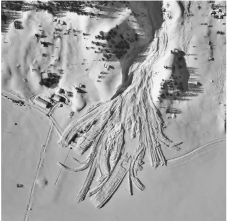 Fig. 1. Figure 1. Finger-shaped avalanche accumulation during the winter 1998/99 westwards of the municipality of Ulrichen, Valais, Switzerland