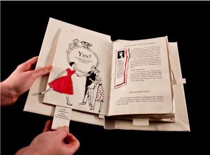 Figure B.11 Mechanical Matrimony 