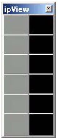 Figure 1: ipView Icon 