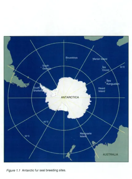 Figure 1.1 Antarctic fur seal breeding sites. 