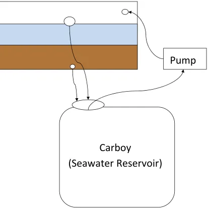 Figure 1.3 Diagram of mesocosm set-up. The large rectangle represents the mesocosm tubing, with arrow heads indicating the direction of water flow through the tubing