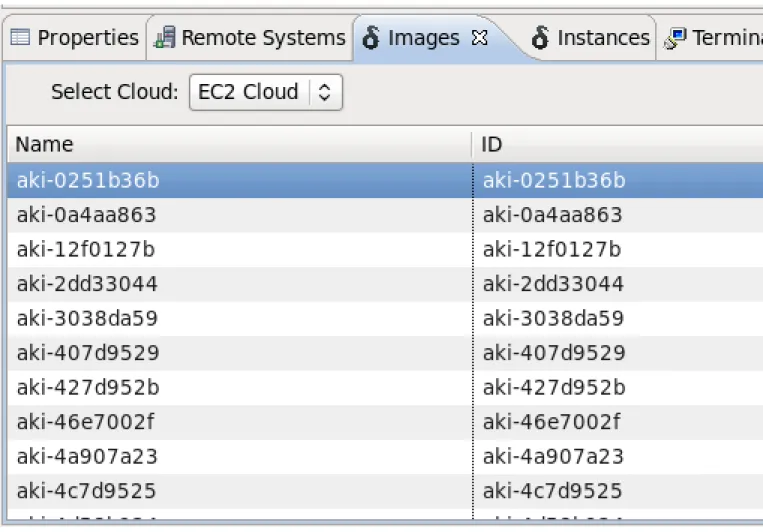 Figure 1.6. Deltacloud perspective: The Images view
