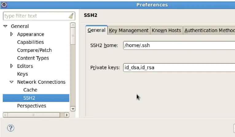 Figure 1.4. Preferences: SSH2