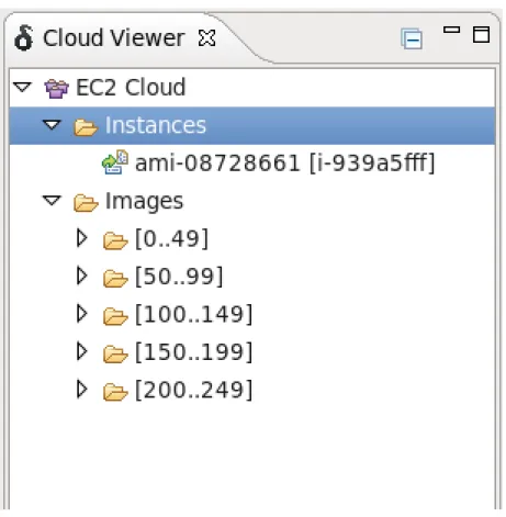 Figure 1.5. Deltacloud perspective: The Cloud Viewer