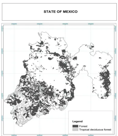 Figure 4: Carbon content per hectare 