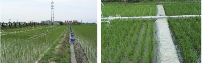 Fig. 2: Nitrogen leaching in situ sampler