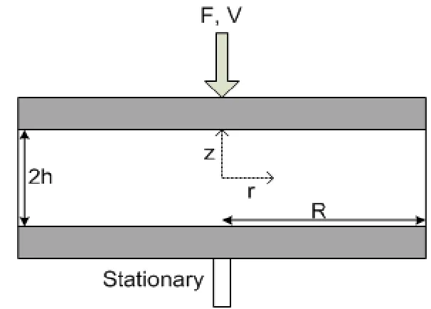 Figure 1.1 Schematic and coordinate system for the squeeze tests  